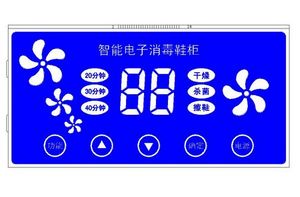 Customized LCD display