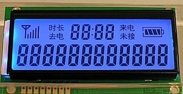 Customized LCD module